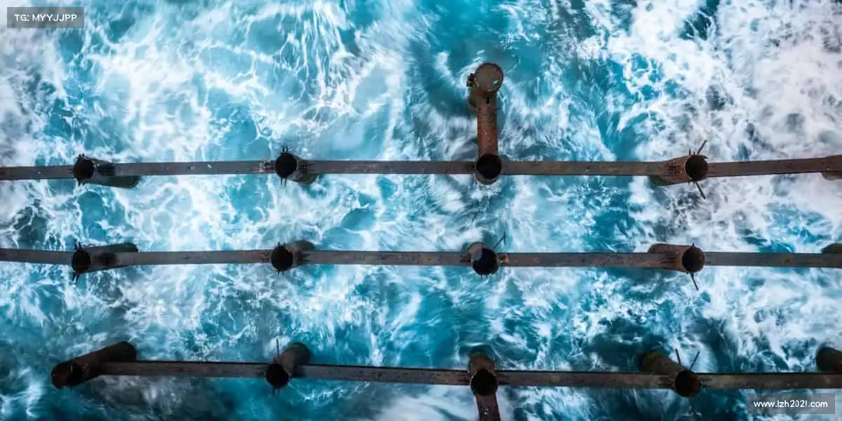 im电竞🏊‍♀️潜入深蓝，攀登高峰，你的极限，由你打破 —— 体育，是对自己的终极挑战！